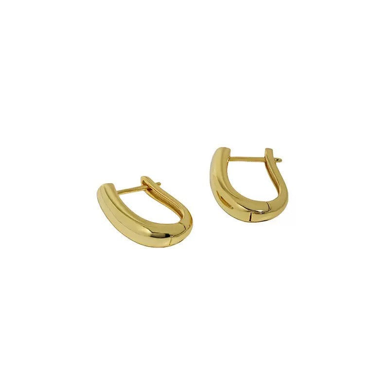 Aero Curve Earrings