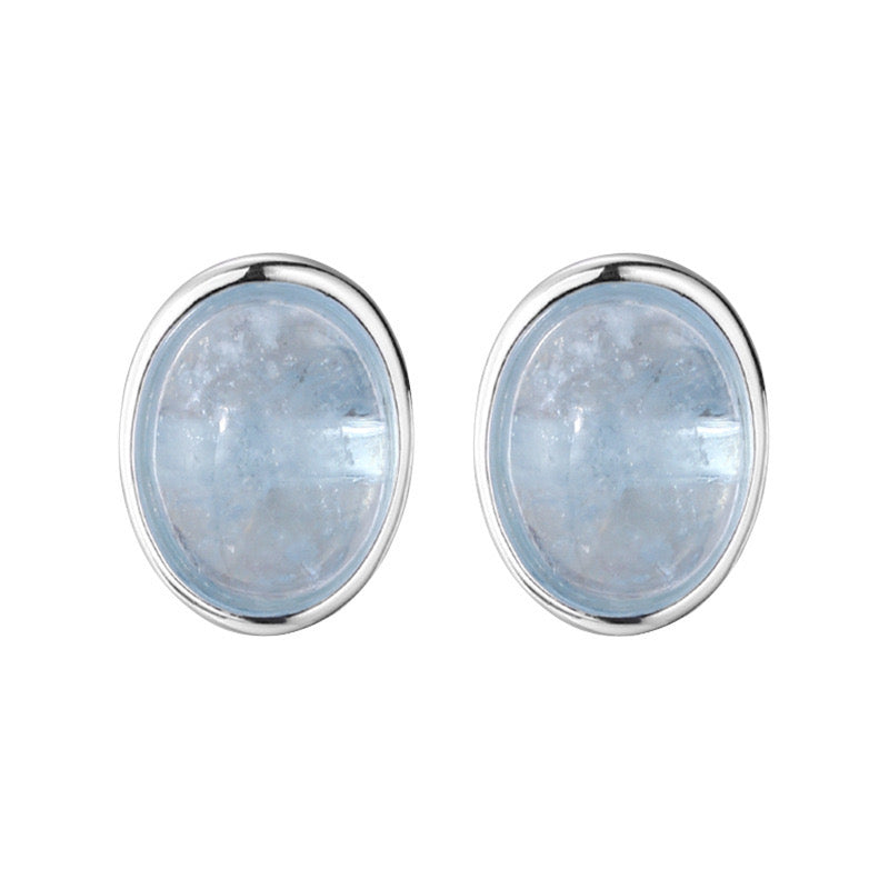 Oceanic Oval Charms Earrings